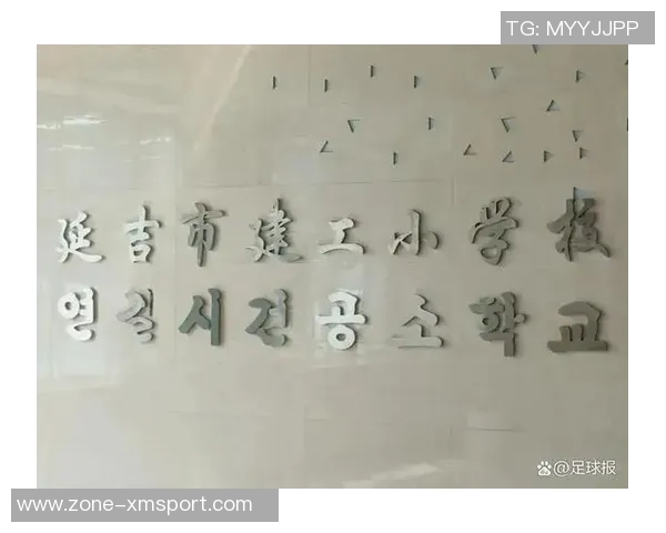 追逐梦想的绿茵场中国足球梦主题曲激励无数年轻心灵